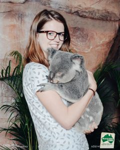 Koala hug, Australia